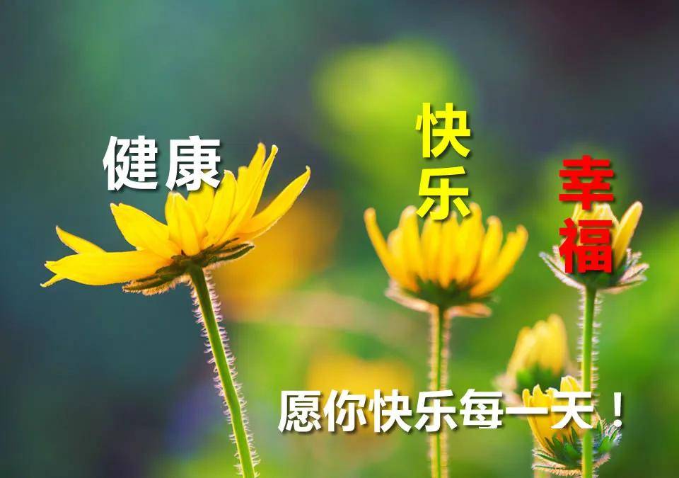 花开馥郁 第2页