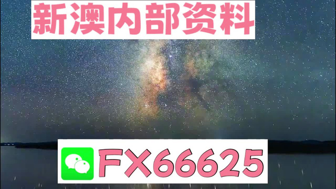 2024年天天彩精准资料,广泛的解释落实支持计划_Deluxe50.762