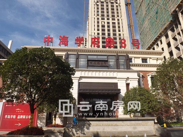 中加学府引领教育创新，开启国际化全新学术篇章