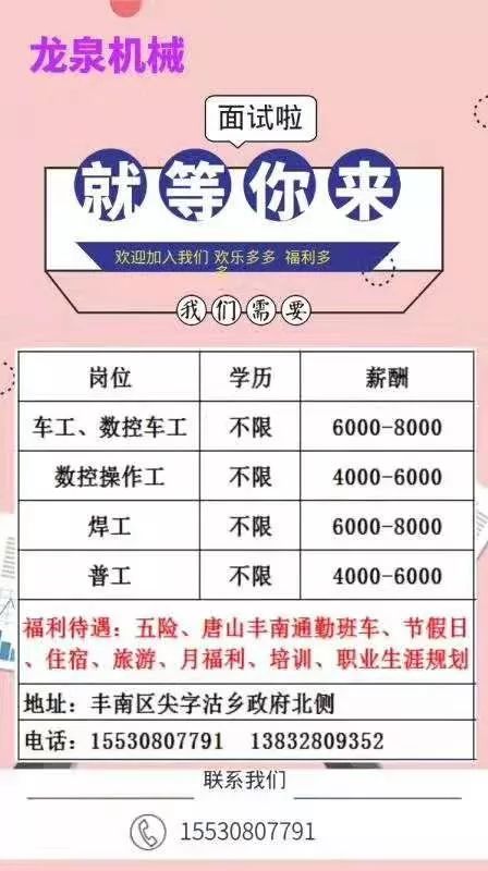 丰南区最新招聘信息全面解析