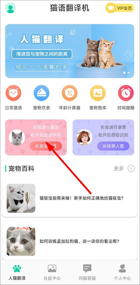 猫咪软件官网最新版，全新猫咪世界探索体验